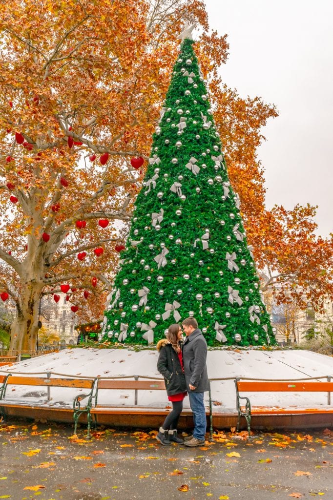 kate storm and jeremy storm standing in front of a christmas tree in vienna austria