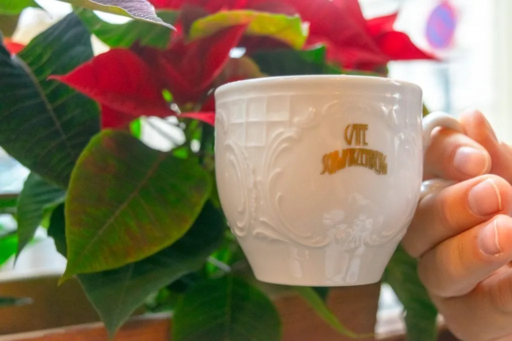 Viennese Hot Chocolate in a white mug being held up against a poinsetta
