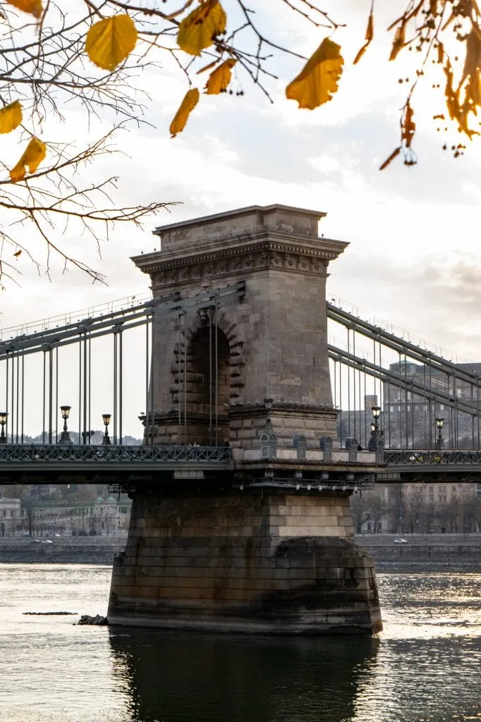 Photo of the Chain Bridge with yellow leaves from fall in the frame above it. Essential sight to see even with only one day in Budapest!