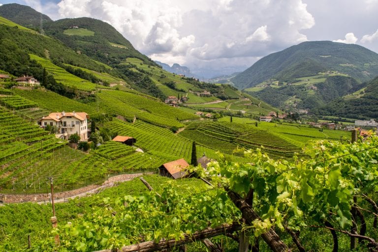 Best Things to Do in Bolzano: View from Santa Maria Maddalena Church