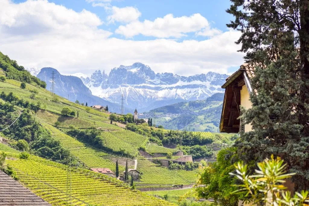 View near Bolzano Italy with vineyards in the foreground and the Italian Dolomites in the background, as included on a blog post about the best short travel quotes and travel captions