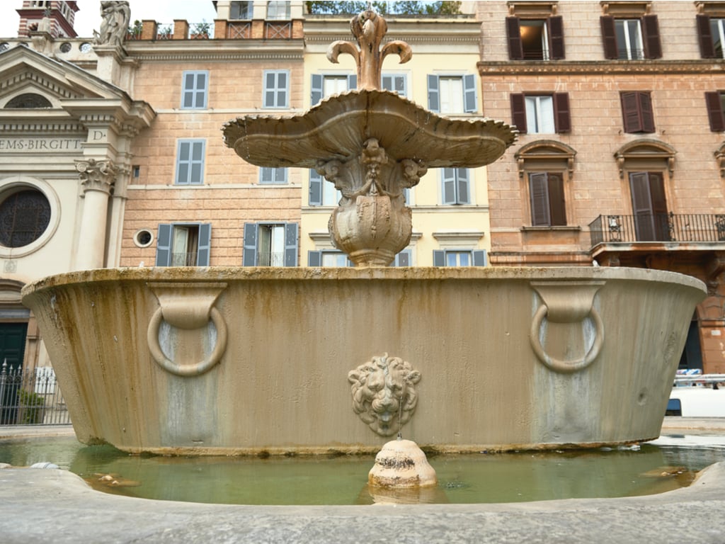 baths of carcalla is piazza farnese in rome italy