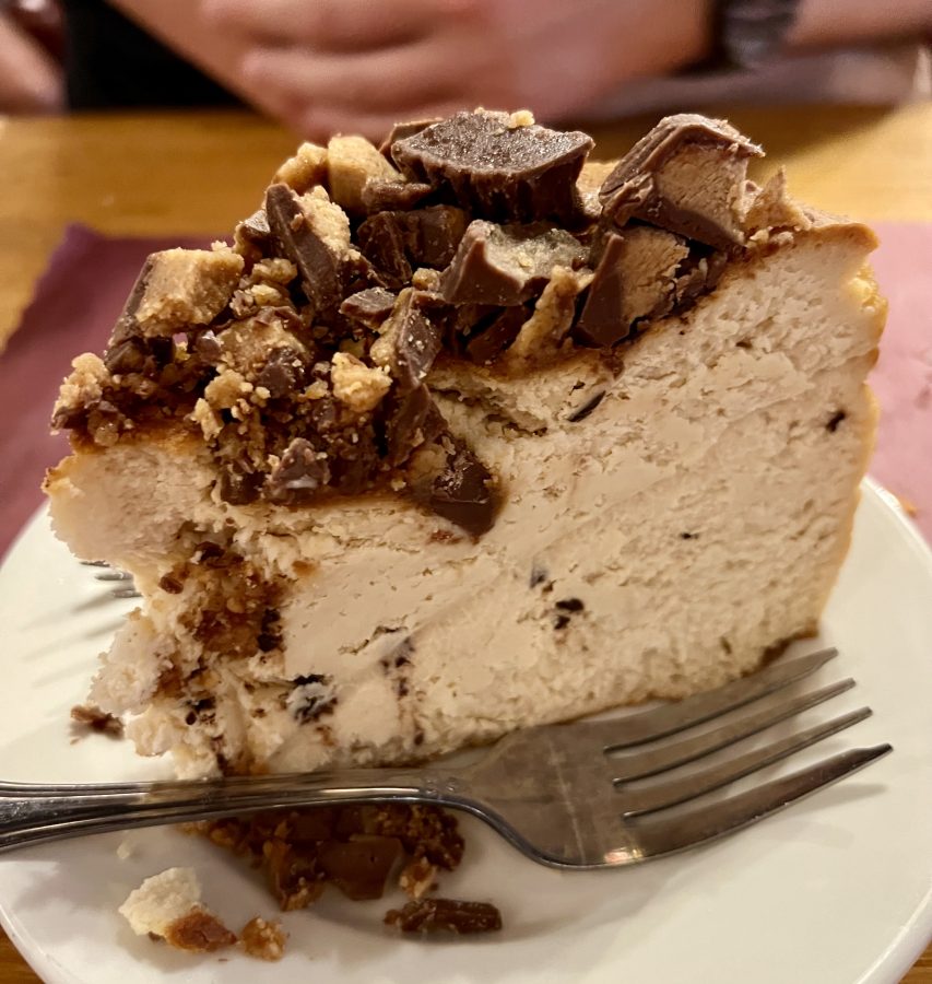 peanut butter cheesecake from sarges deli in new york city