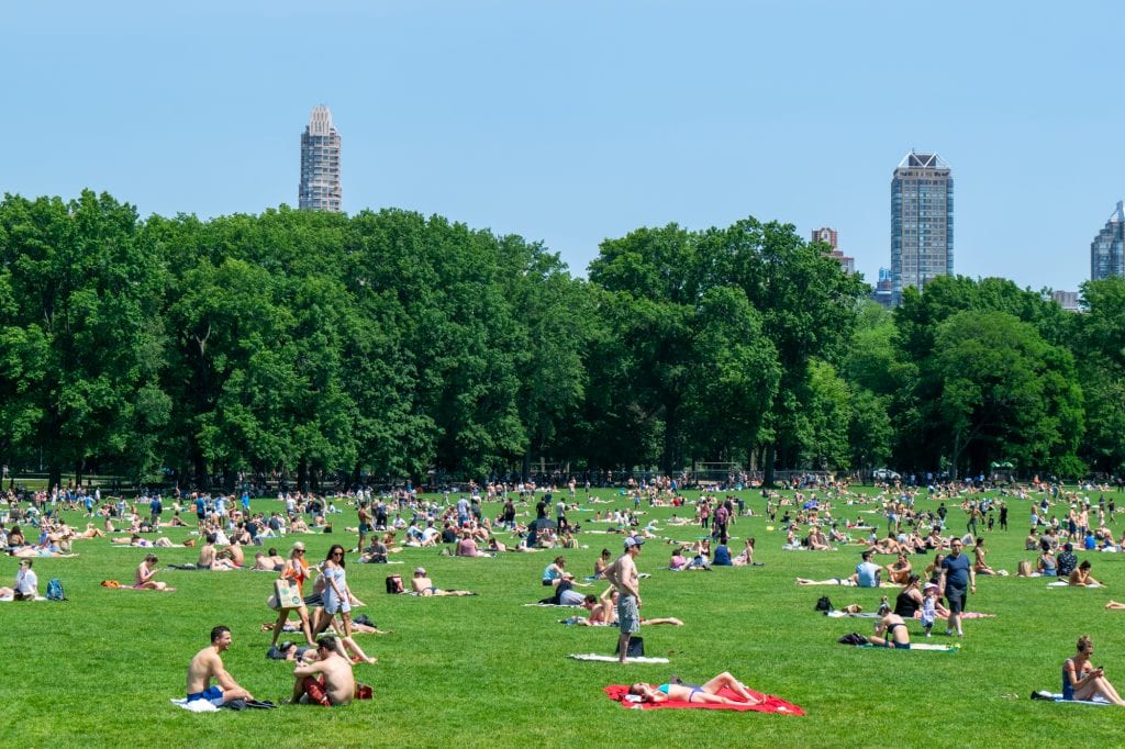 4 Day New York itinerary: Central Park lawn