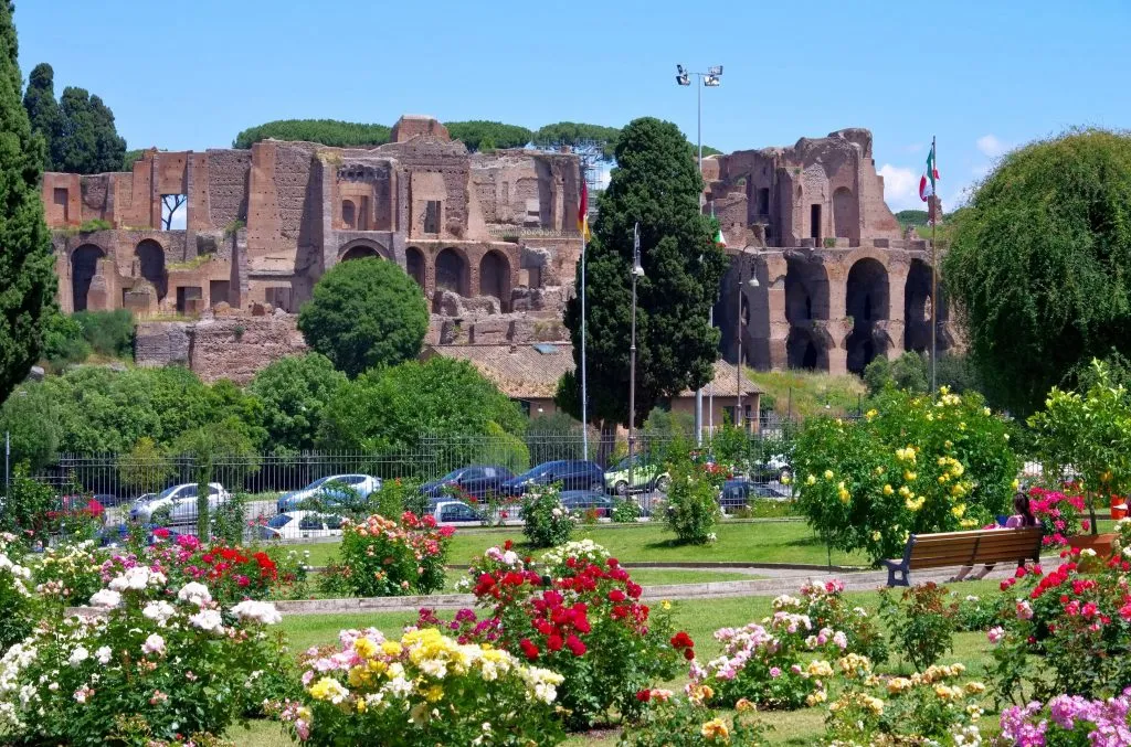rome rose garden with blooming flowers in the foreground