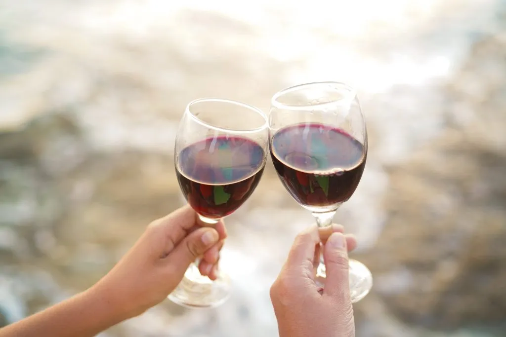 two glasses of red wine being held out at a wine tasting croatia