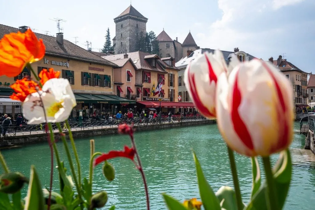 Chateau d'Annecy as seen from between blooming tulips over a canal. Annecy is one of the best small towns in France.