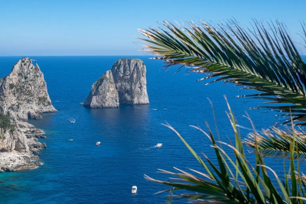 Faralongi off the coast of Capti Italy with palm fronds in the foreground