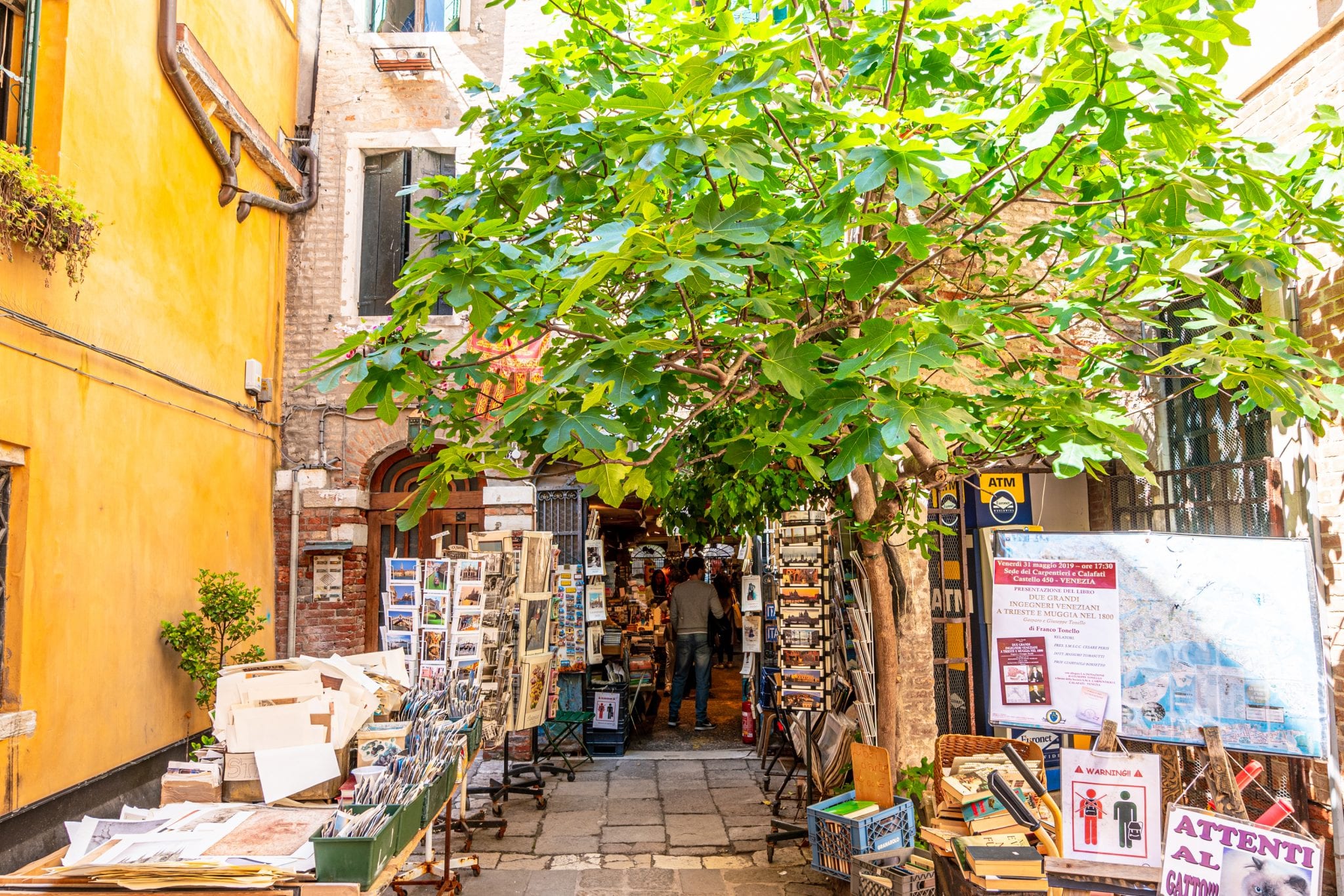 Inside Libreria Acqua Alta, Venice’s Unique Bookstore Our Escape Clause