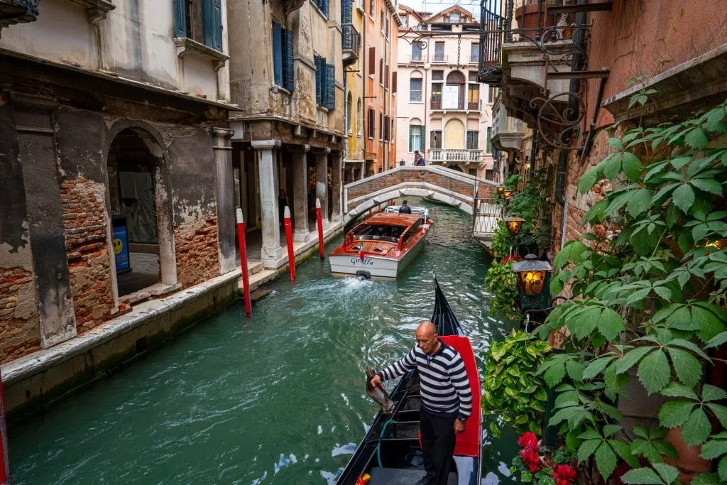 Photo of a canal bordered by a plant in Venice, with a gondolier padding toward the camera