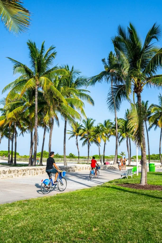 Family cycling through a paved path in Lummus Park. They're framed by green grass and palm trees.