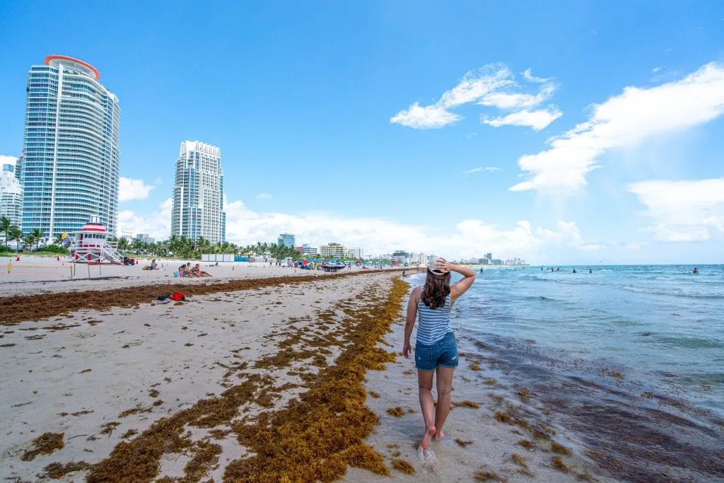 Kate walking down South Beach wearing jean shorts and a tank top. There is seaweed on the beach and skyscrapers in the far left.