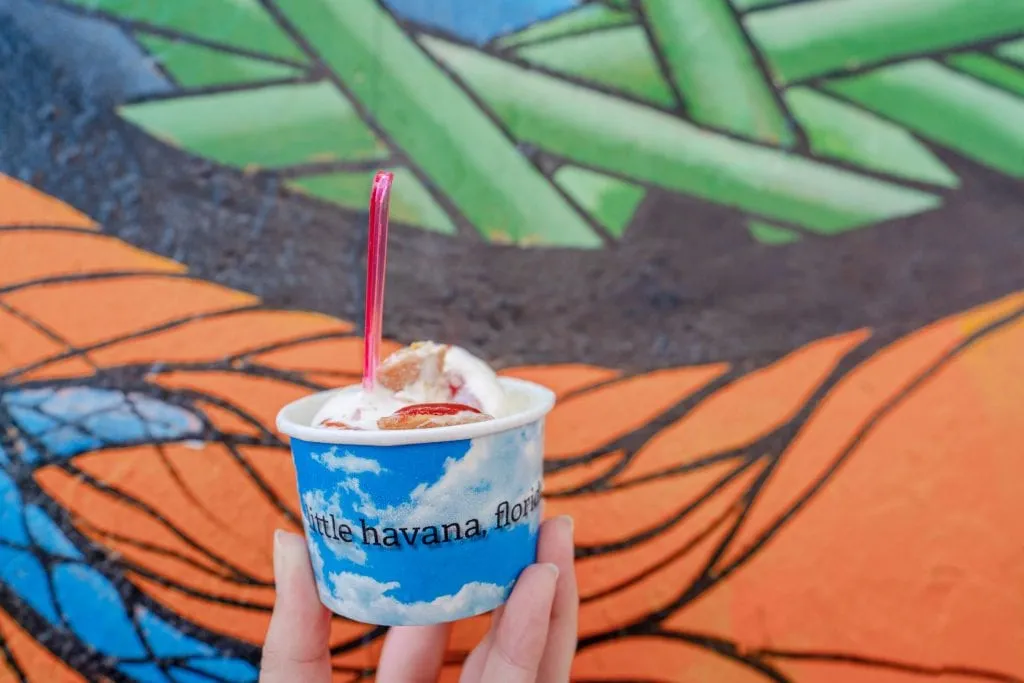 Cup of ice cream held in front of orange and green street art in Little Havana. The ice cream cup is blue and white and says "Little Havana" in black lettering.