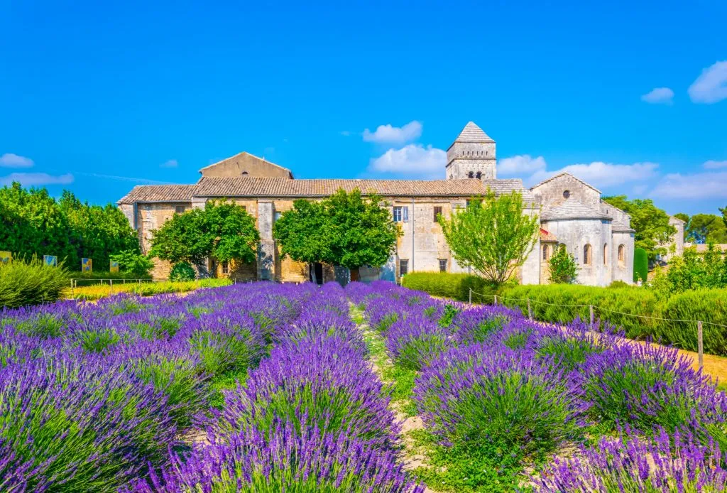 abbey in st remy de provence with lavender growing in front of it