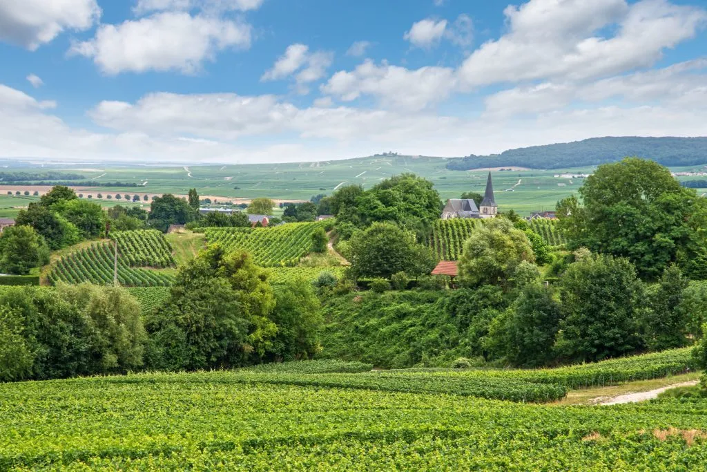 vineyards of the champagne region in france, one of the best road trips in france