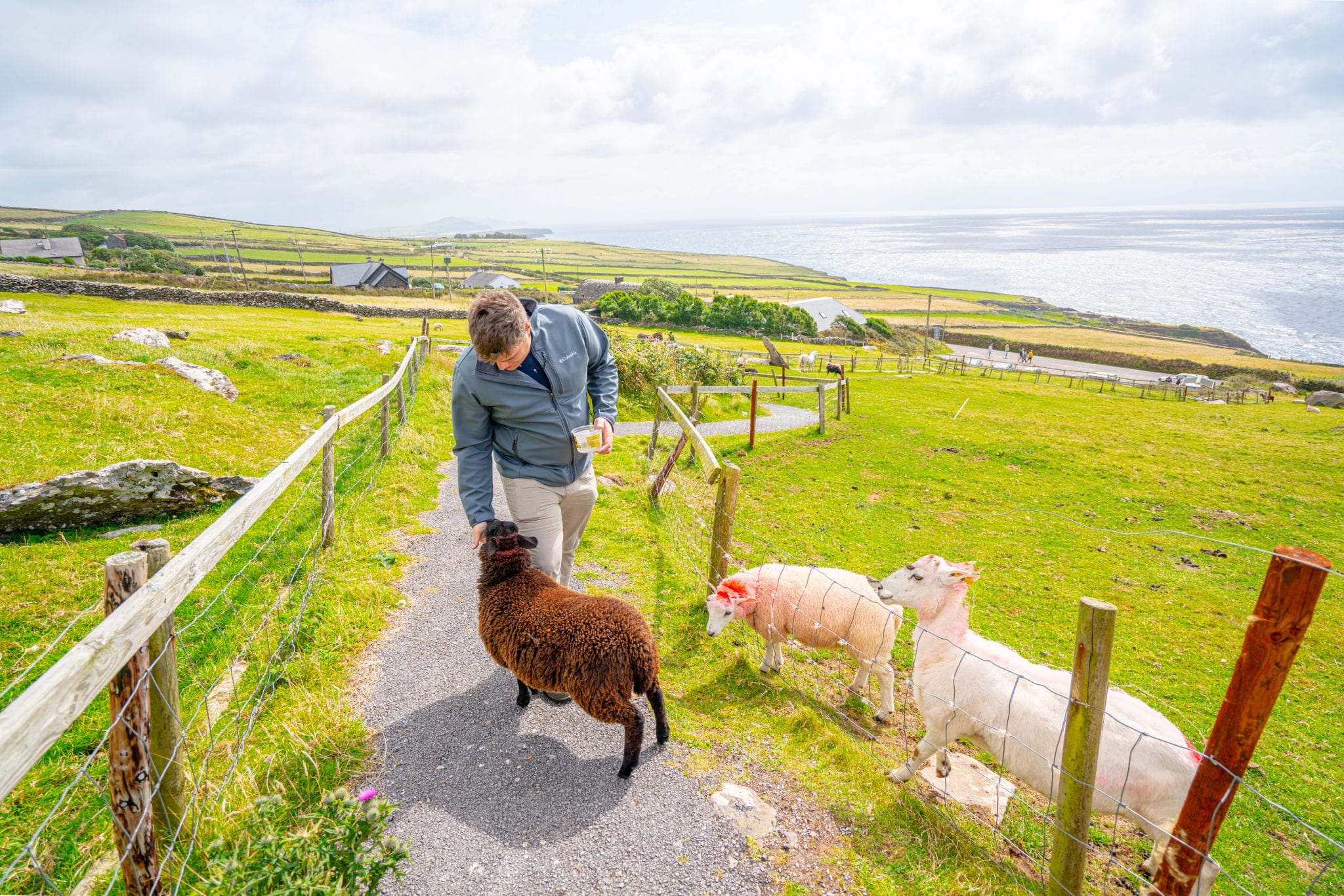 Slea Head Drive Your Guide to Dingle Peninsula’s Epic Road Trip