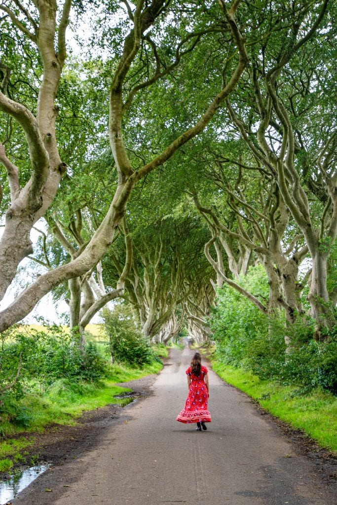 Kate Storm in a red dress facing away from the camera at the Dark Hedges, one of the most popular locations to see on a Northern Ireland road trip itinerary