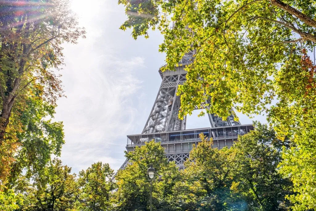 Photo of a piece of the Eiffel Tower sticking out from behind a tree with a sun flare on the left of the screen