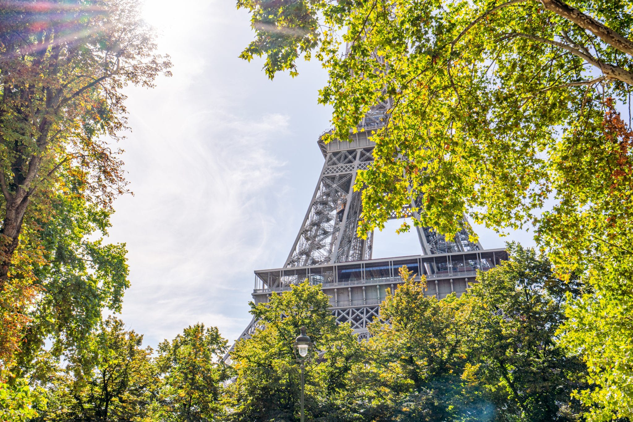 eiffel tower cat tree