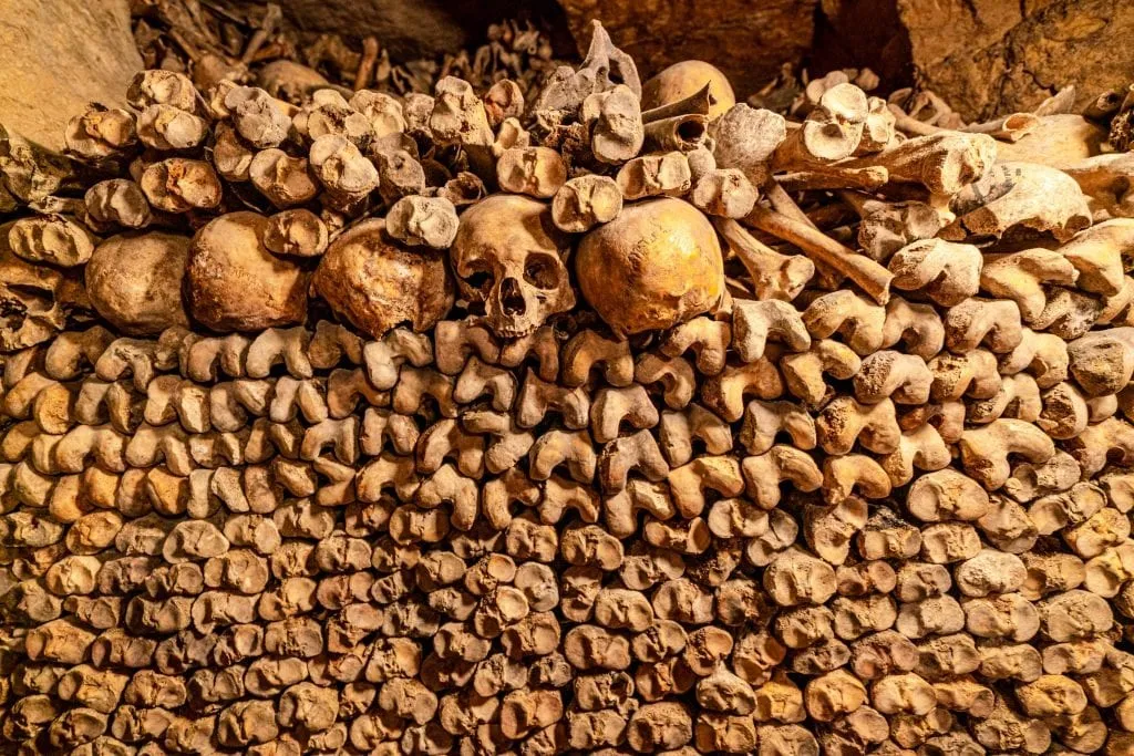 Stack of bones as seen on a Paris catacombs tour