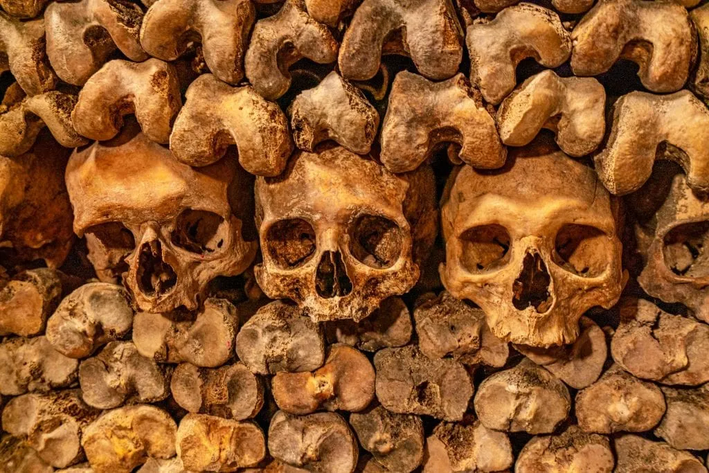 3 skulls in the Paris catacombs that are surrounding by other bones