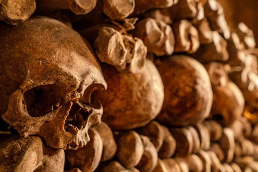 Stacked bones as seen when visiting the Paris catacombs with a skull in the foreground on the left side of the photo