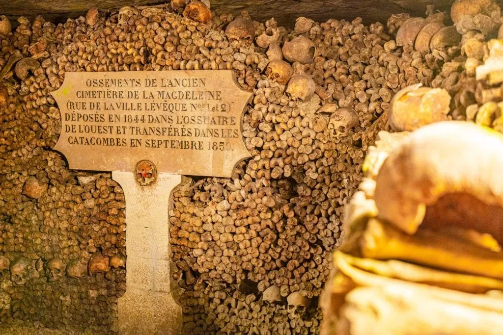 Stack of bones as seen on a Paris catacombs tour with a memorial plaque in front of them.