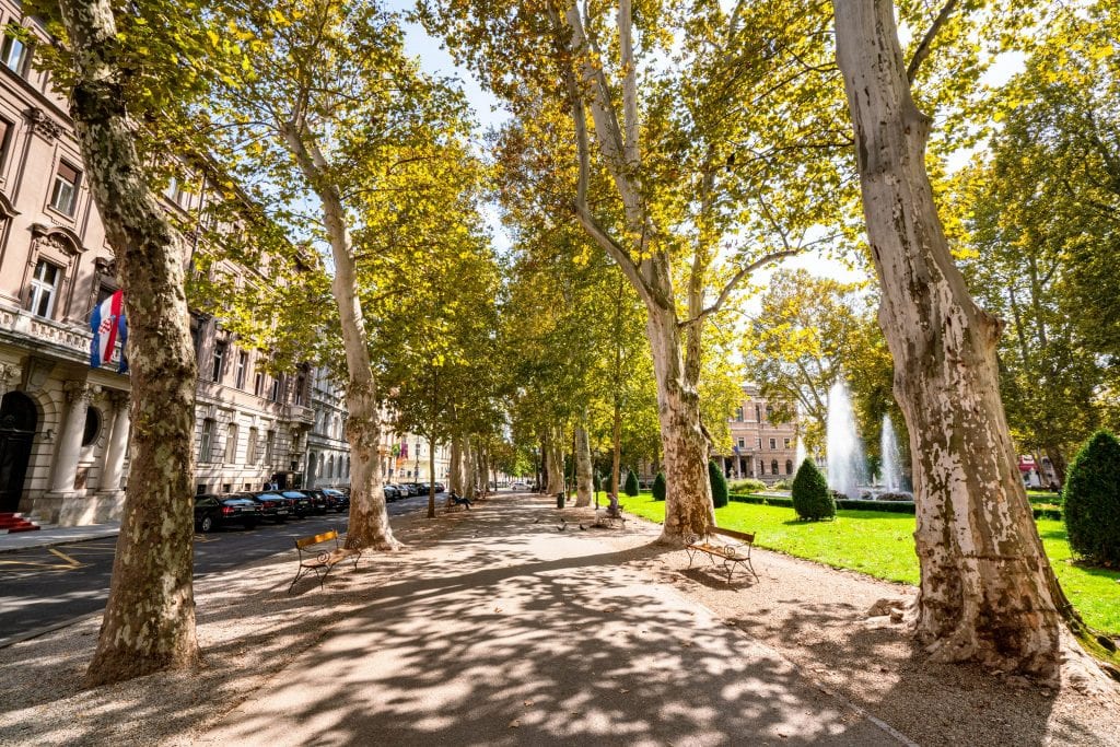 Photo of a path in a Zagreb park with leafy trees lining either side