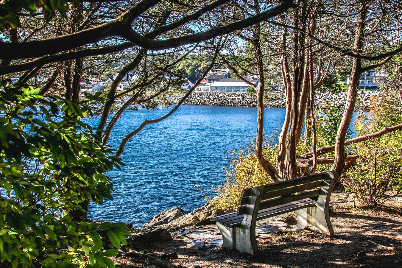 shaded bench facing the sea along the marginal way in ogunquit, one of the best places in new england for a weekend getaway