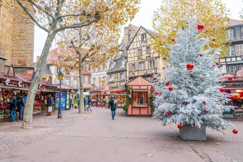Colmar Christmas Market with white tree with red ornaments to the right