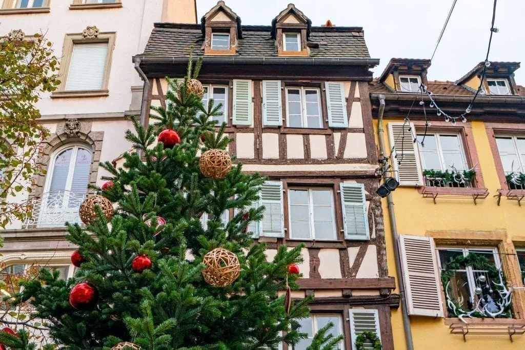 half timbered building with a holiday tree in front of it during christmas colmar france