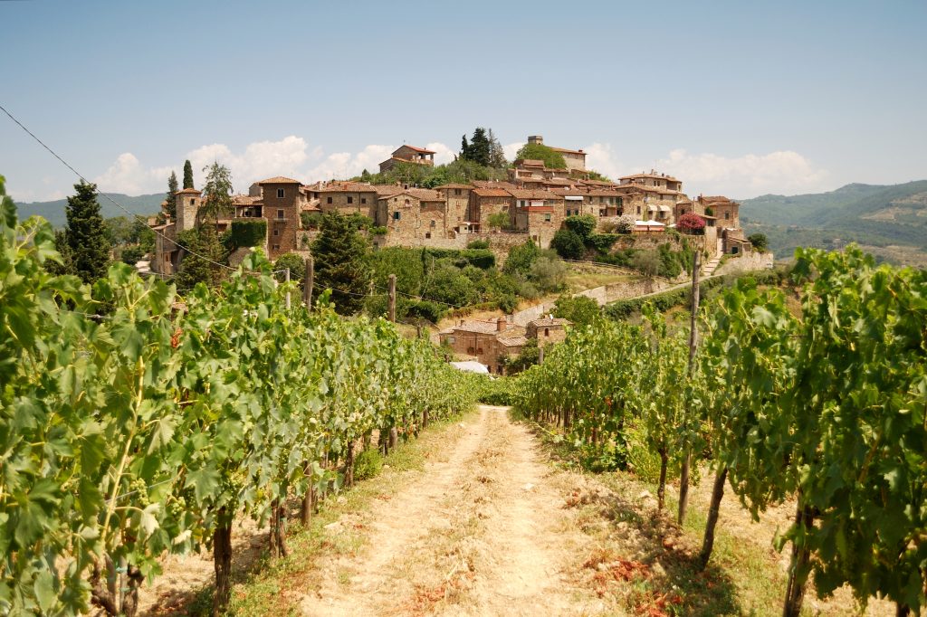 Montefioralle italy in the distance as seen in a vineyard among grape vines