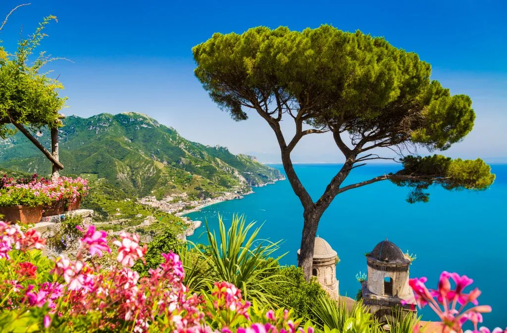 view of amalfi coast from ravello with pink flowers in the foreground and a tree on the right side of the photo