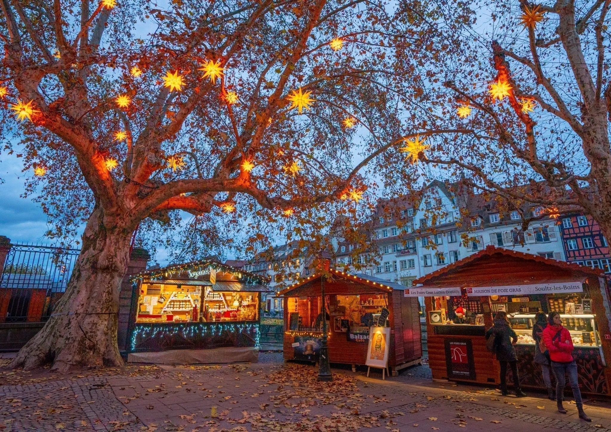 Strasbourg Christmas market stalls set up under a tree with lights in it at twilight