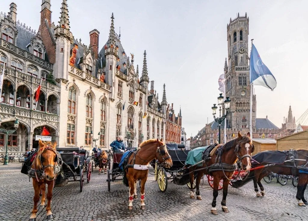Horses parked in Grote Markt Belgium with Belfry visible in the background