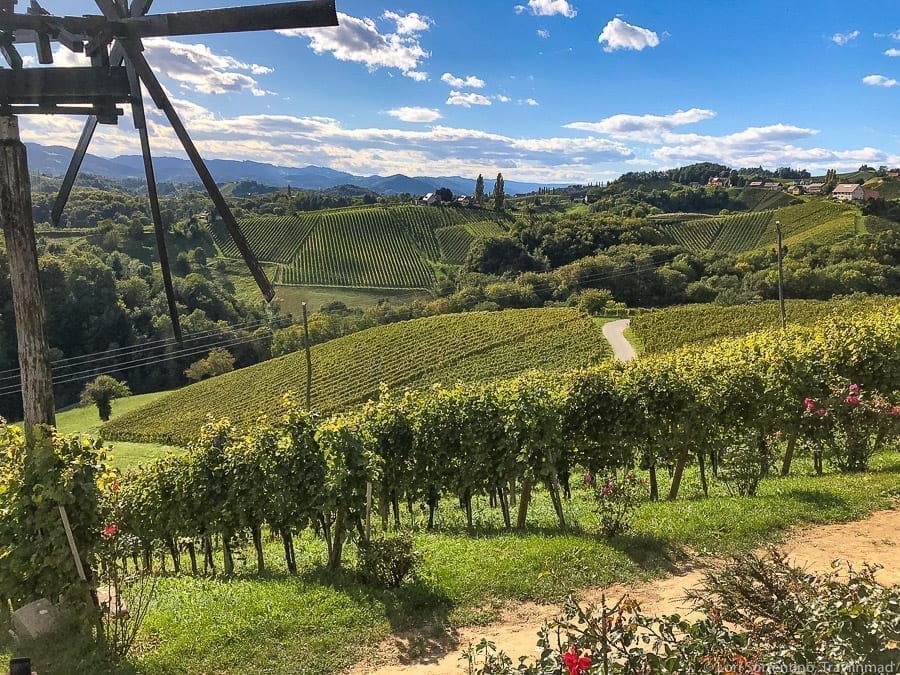 Vineyard with hundreds of grape vines planted on a rolling hill with a windmill on the foreground on the left side of the photo in Austria