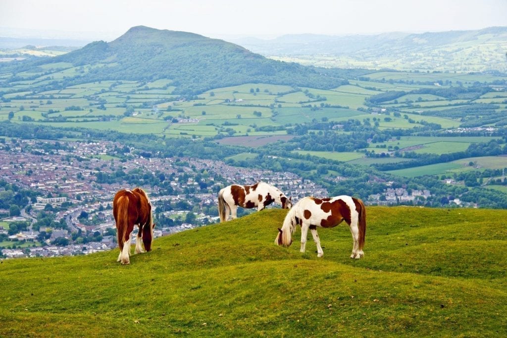 Three horses grazing on a hill in Brecon Beacons National Park Wales, with rolling green hills and a small villages visible in the distance. Wales is one of the best underrrated road trips in Europe.