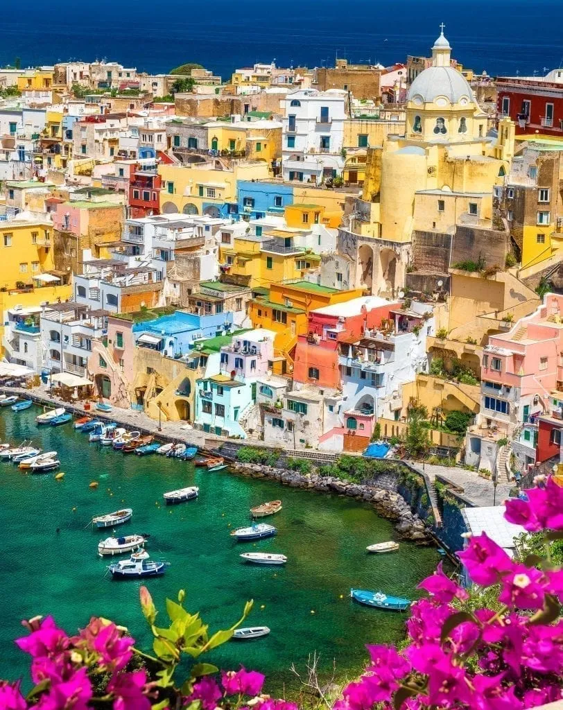 View of Procida Harbor and colorful town from above with pink flowers in the foreground. Procida is one of the best day trips from Sorrento Italy.