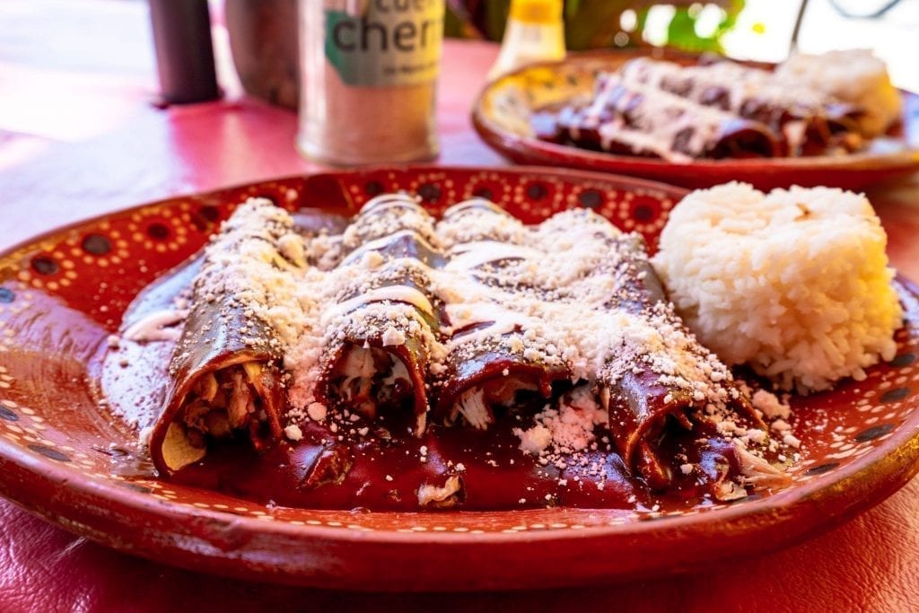 Plate of enchiladas mole with a side of rice--one of our best travel tips for Mexico is to make sure to deeply explore the food scene!