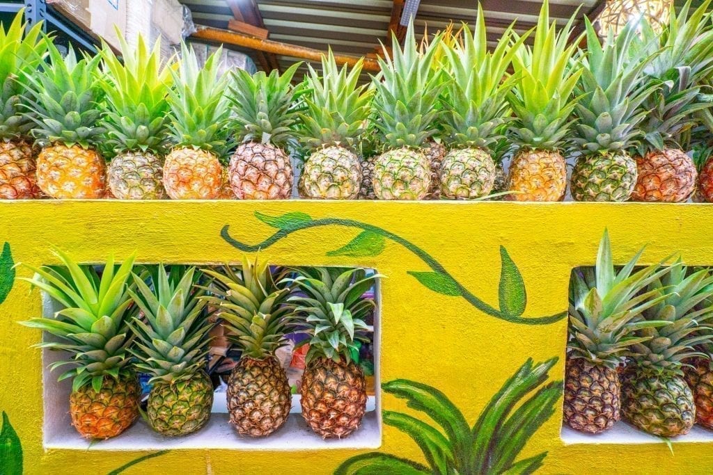 Wall of pineapples in bacalar mexico stacked up on several shelves--be sure to eat plenty of fresh fruit while in Mexico, but an important tip for traveling to Mexico is to be careful that it's freshly cut.