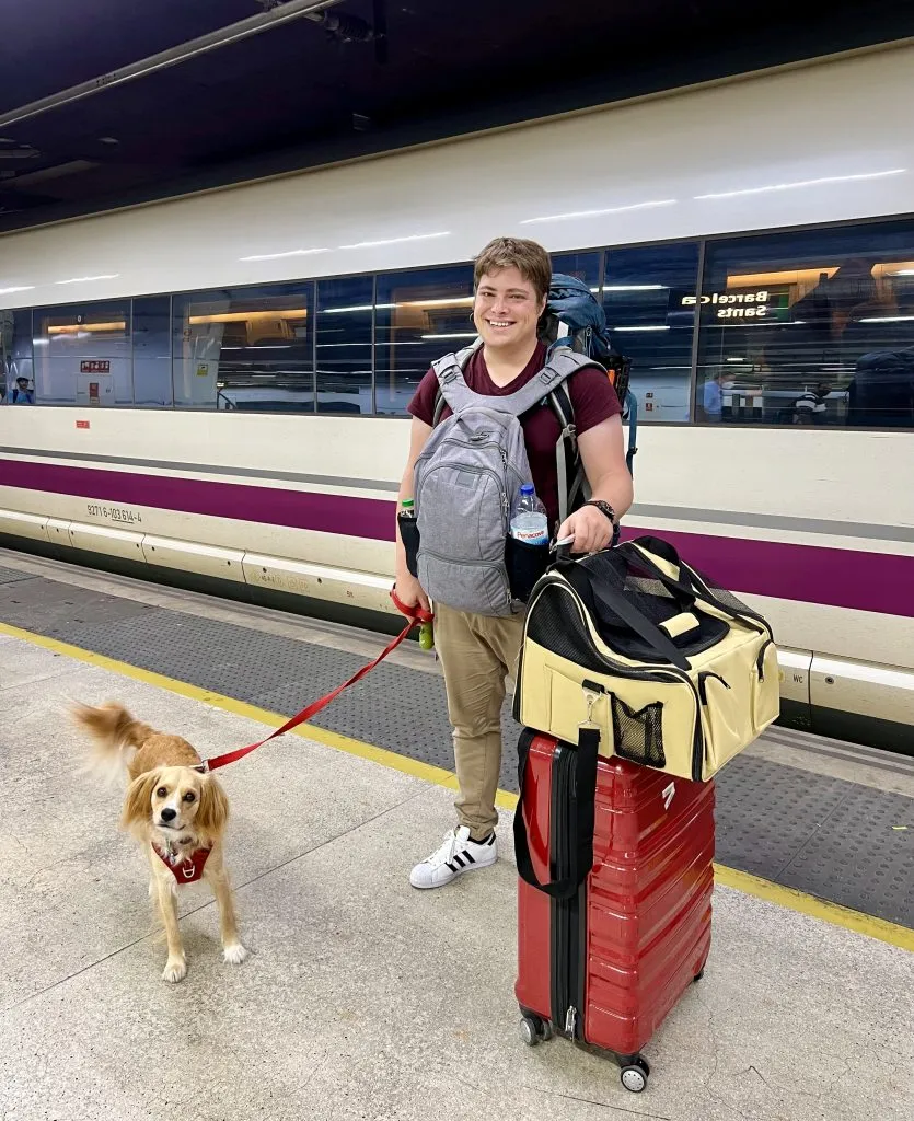 travelling by train in europe with a dog