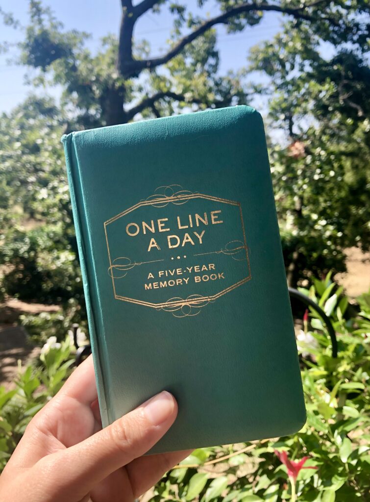 one line a day journal being held up in front of summer foliage, journal is teal