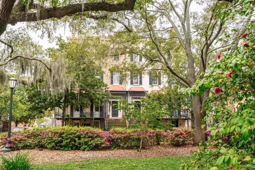 Houses in the background of the shot with trees and flowers in the foregroun as seen in a Savannah GA town square