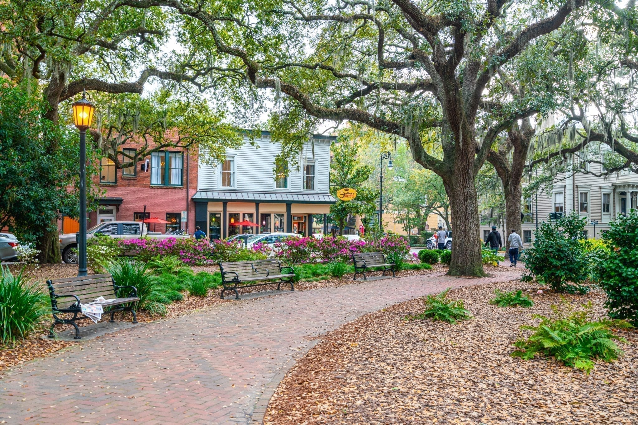 Savannah or Charleston Which Lowcountry City is Right for You?