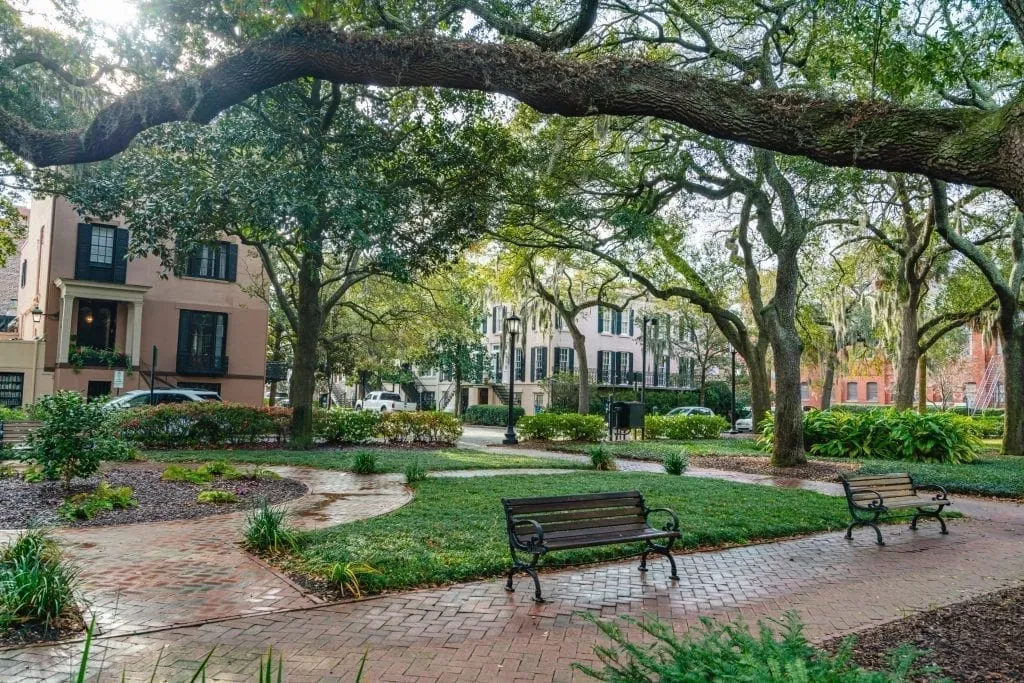 Shaded square in Savannah GA with a bench sitting under an oak tree as seen during a Savannah weekend vacation