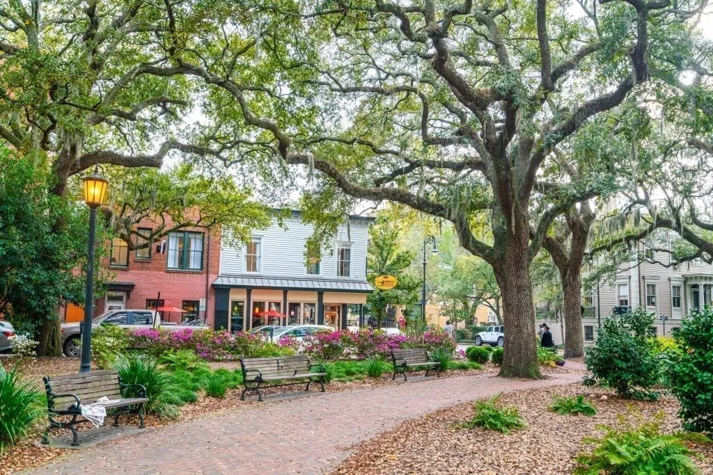 Chippewa Square in Savannah GA with Gallery Espresso visible in the background