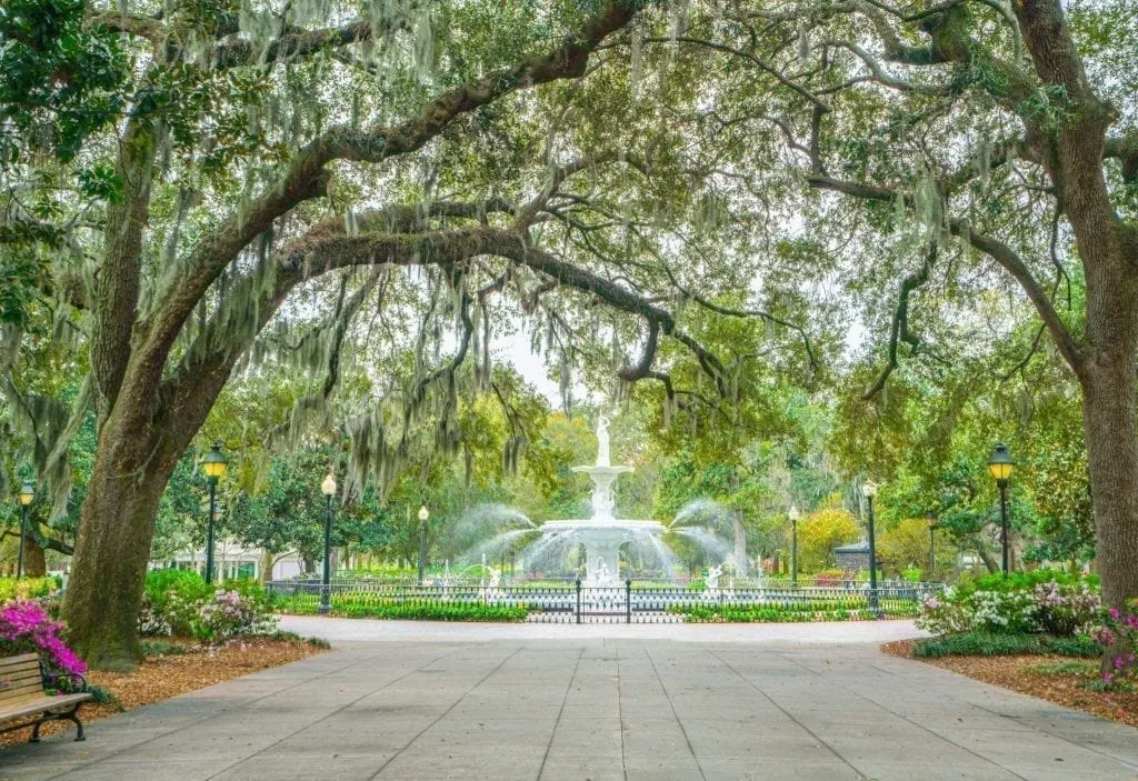 Forsyth Park in Savannah with fountain visible in the distance. Forsyth Park is definitely one of the best places to visit in Savannah GA!