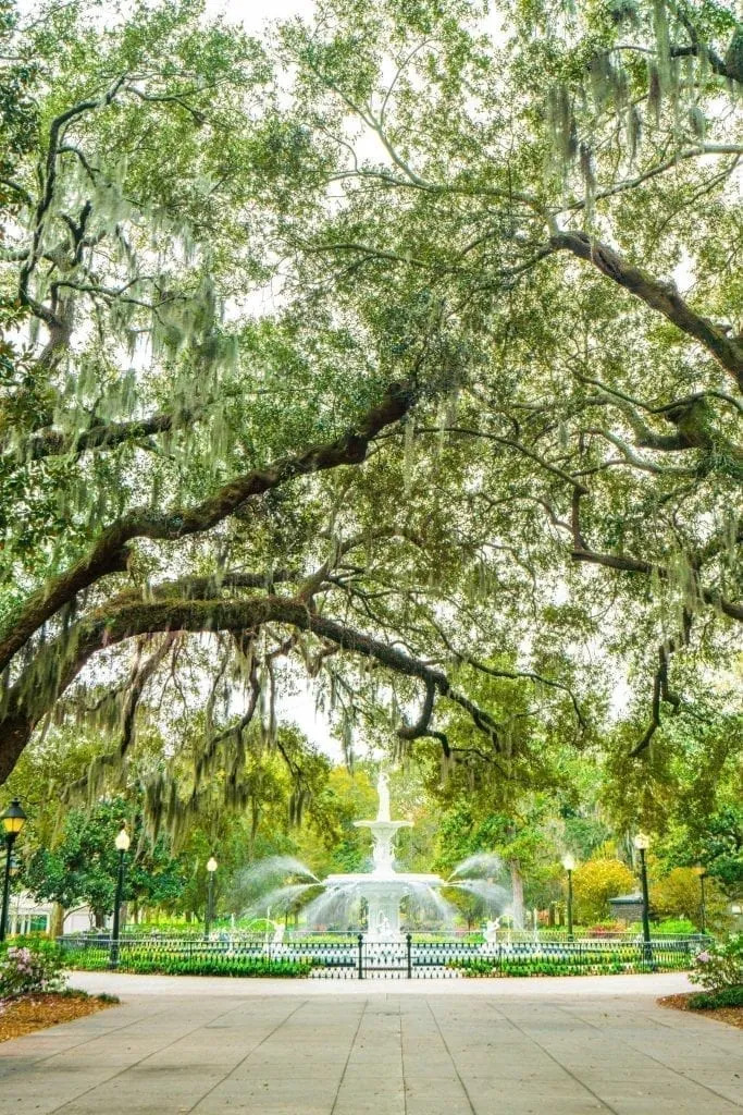 forsyth park fountain framed by oak trees in savannah, one of the best east coast usa cities to visit