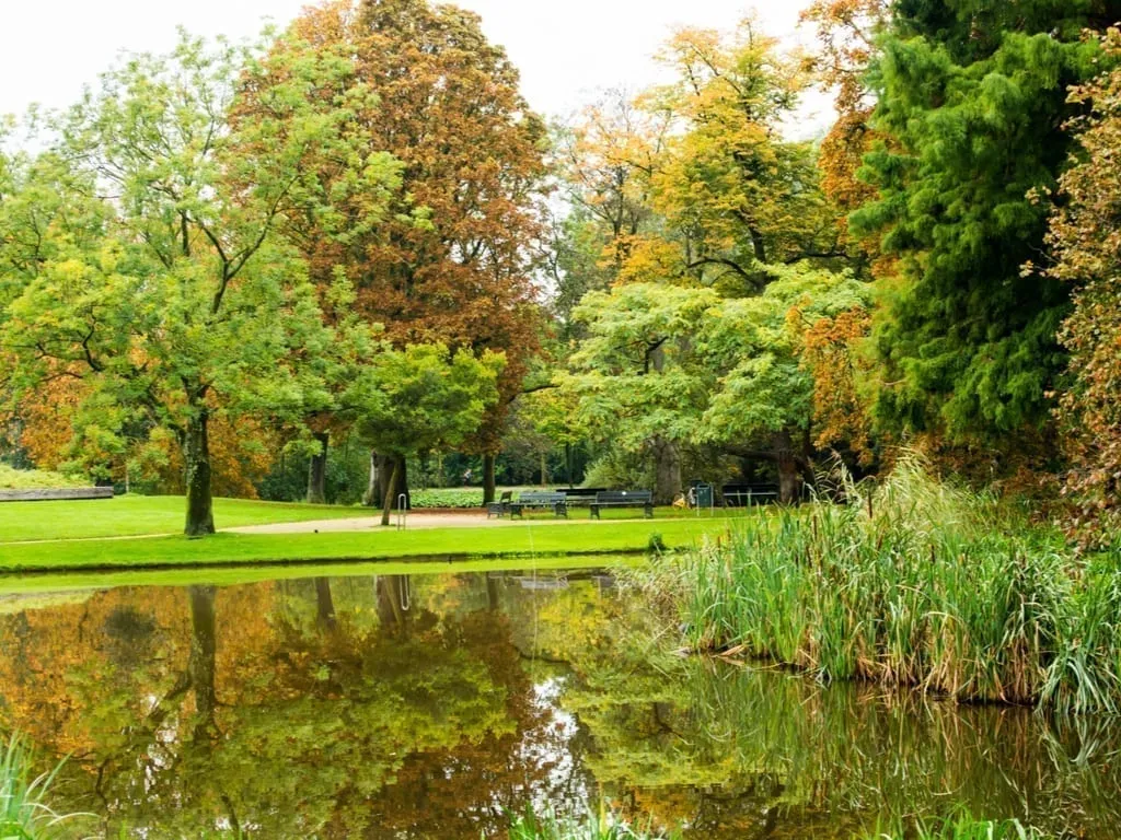 Vondelpark in Amsterdam with a pond in the foreground on the photo