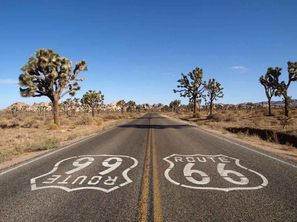 Route 66 in California with Joshua trees on either side. Route 66 is one of the absolute best road trips in USA